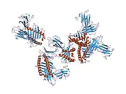 1zs8: Crystal Structure of the Murine MHC Class Ib Molecule M10.5