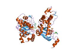 2bbs: Human deltaF508 NBD1 with three solubilizing mutations