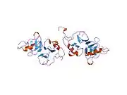 2bn2: CRYSTAL STRUCTURE OF BOVINE NEUROPHYSIN II COMPLEXED WITH THE VASOPRESSIN ANALOGUE PHE-TYR AMIDE
