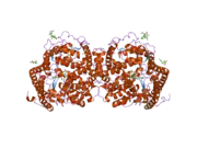 2c6n: STRUCTURE OF HUMAN SOMATIC ANGIONTENSIN-I CONVERTING ENZYME N DOMAIN WITH LISINOPRIL