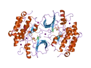 2gs7: Crystal Structure of the inactive EGFR kinase domain in complex with AMP-PNP