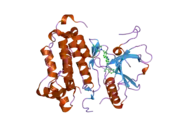 2itt: CRYSTAL STRUCTURE OF EGFR KINASE DOMAIN L858R MUTATION IN COMPLEX WITH AEE788