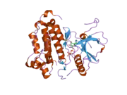 2itv: CRYSTAL STRUCTURE OF EGFR KINASE DOMAIN L858R MUTATION IN COMPLEX WITH AMP-PNP