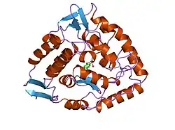 3pah: HUMAN PHENYLALANINE HYDROXYLASE CATALYTIC DOMAIN DIMER WITH BOUND ADRENALINE INHIBITOR