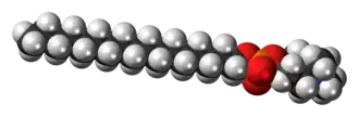 Space-filling model of the perifosine zwitterion