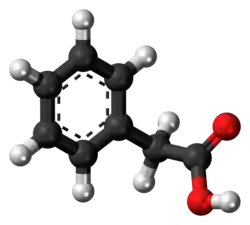 Ball-and-stick model of phenylacetic acid