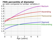Ratios of large intestinal segments compared to lumbar vertebra 2, as 75th percentile, meaning that 25% of children normally have a ratio higher than this.[19]