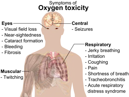 A diagram showing a male torso and listing symptoms of oxygen toxicity: Eyes – visual field loss, nearsightedness, cataract formation, bleeding, fibrosis; Head – seizures; Muscles – twitching; Respiratory system – jerky breathing, irritation, coughing, pain, shortness of breath, tracheobronchitis, acute respiratory distress syndrome.