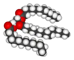 A space-filling model of an unsaturated triglyceride.