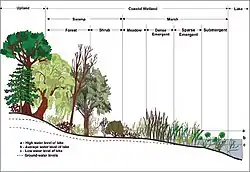 Upland vs. wetland vs. lacustrine zones