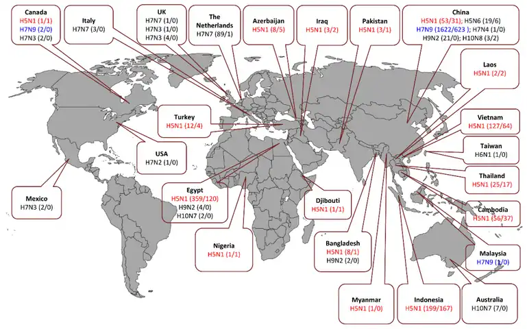 Human cases and fatalities caused by different influenza A virus subtypes