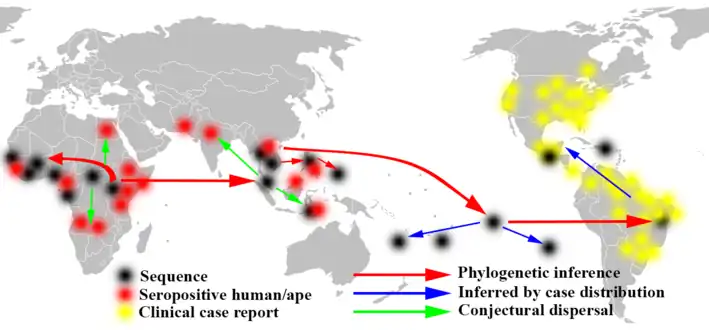 Spread of Zika[33][122][123]