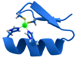 A twisted band, with one side painted blue and another gray. Its two ends are connected through some chemical species to a green atom (zinc).