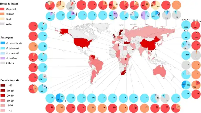 World geographic prevalence of microsporidia.[5]