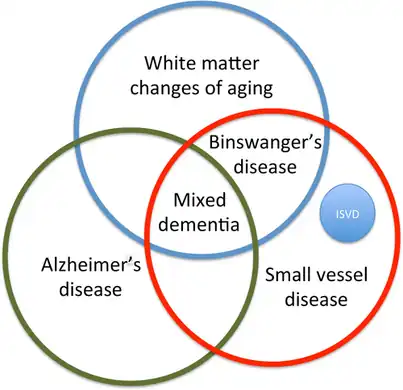 Venn diagram of various categories of small vessel vascular cognitive impairment[14]