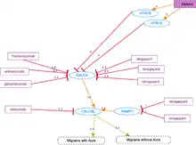 Genes involved some antimigraine drugs.[154]
