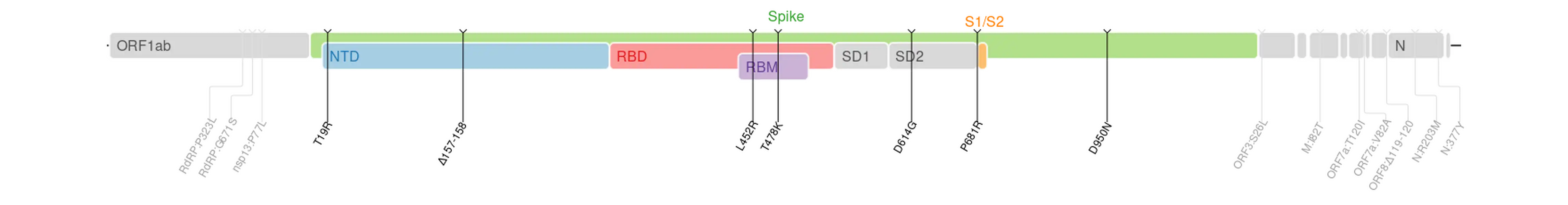 Amino acid mutations of SARS-CoV-2 Delta variant plotted on a genome map of SARS-CoV-2 with a focus on Spike.[45]