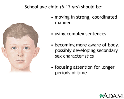 School age child development School age child development
