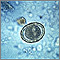 Roundworm eggs - ascariasis