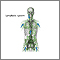 Lymphatic system Lymphatic system