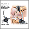Knee arthroscopy