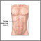 Abdominal muscles Abdominal muscles