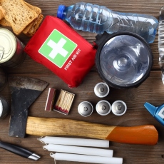 Disaster Preparation and Recovery