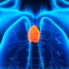 Thymus Cancer