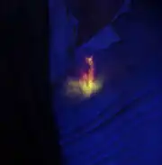 Activated proximity detector