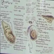 Akaali drawing diagram