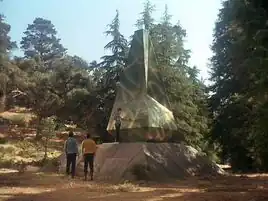 The Paradise Syndrome