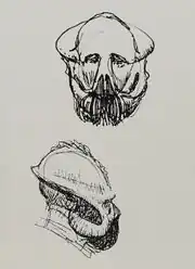 Andoran, concept art