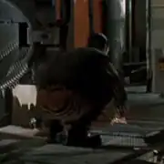 Andy Gill, Data double