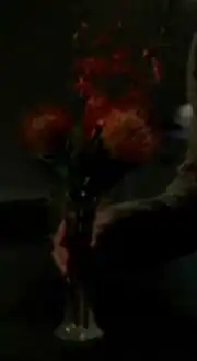 Antarian moon blossoms