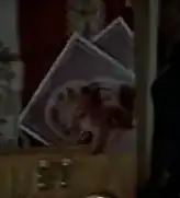 Antique photos, 1986