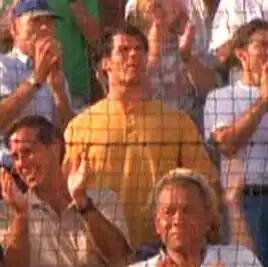 ...as a baseball spectator