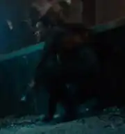 Bethany Levy, Into Darkness