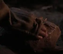 Bill E. Rogers, Darmok