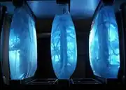 Bio-neural gel packs d14