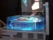 Biological sample container