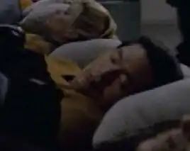 ... as a biomimetic copy