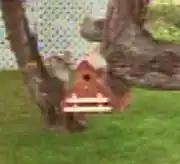 Birdhouse