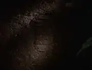 Bootprint, planet hell