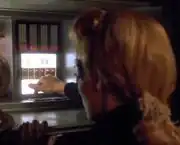 Bridge control relays