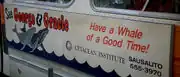 Cetacean Institute bus ad
