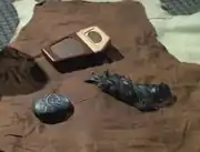 Chakotay's medicine bundle