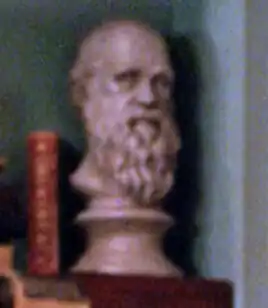 A bust of Darwin