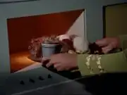 Chicken sandwich tribble