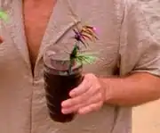 Chocolate Passion Punch