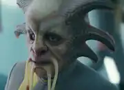 A Ckaptir Starfleet officer